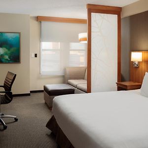 King Room Sofa Bed Roll Shower Disability Access